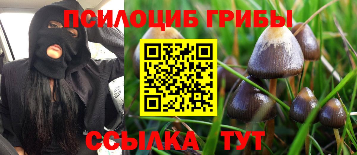 Ногинск  Галлюциногенные грибы Psilocybe  Вход с VPN 